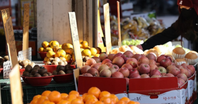 Government Unveils Comprehensive Lunar New Year Measures to Stabilize Livelihoods